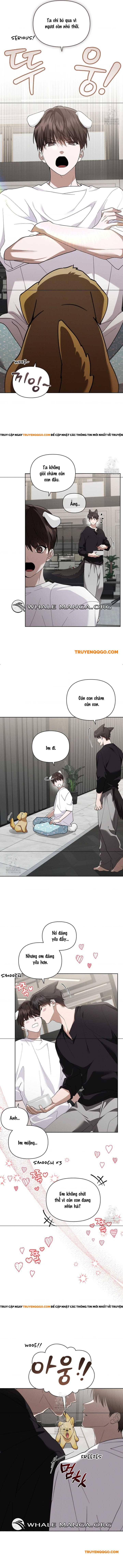 Đừng Đùa Với Cún Con [Chap 45-47]