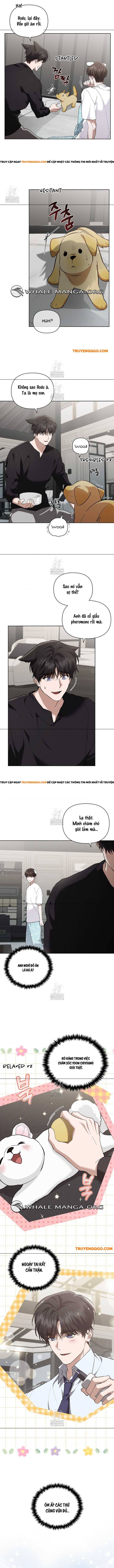 Đừng Đùa Với Cún Con [Chap 45-47]