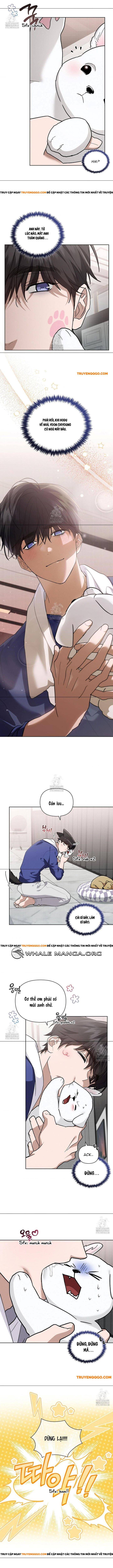 Đừng Đùa Với Cún Con [Chap 45-47]