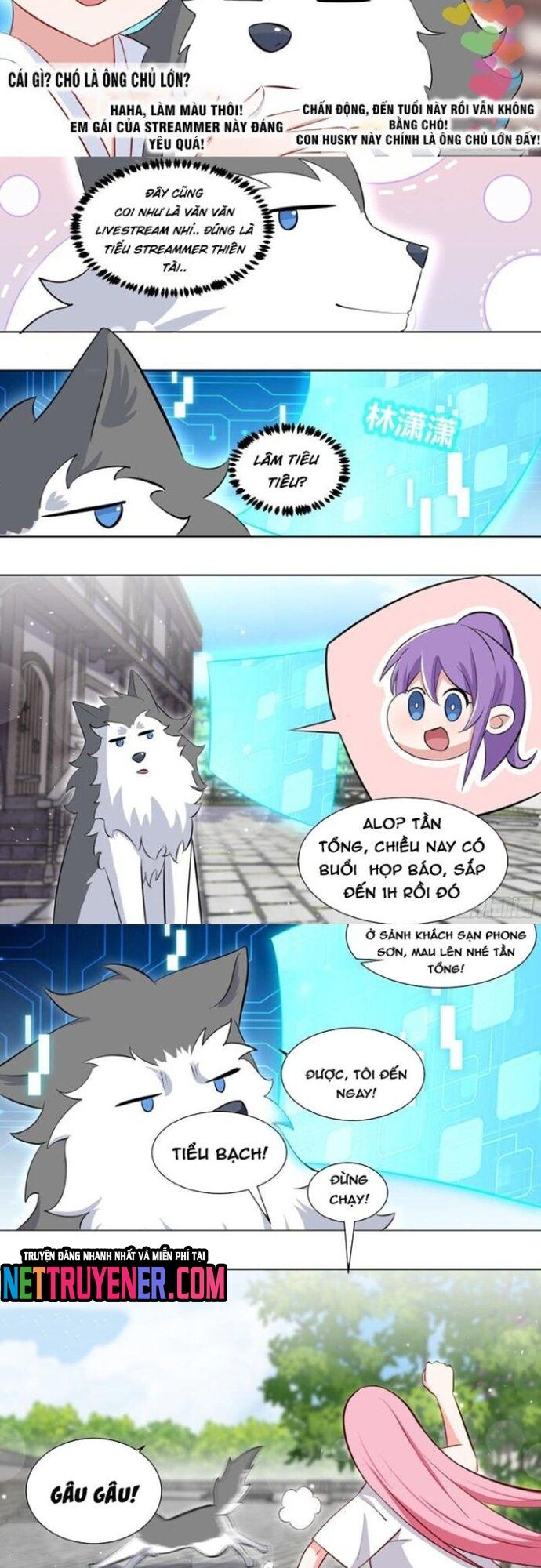 Trọng Sinh Thành Chó Của Nữ Thần Chapter 216 - TC Truyện