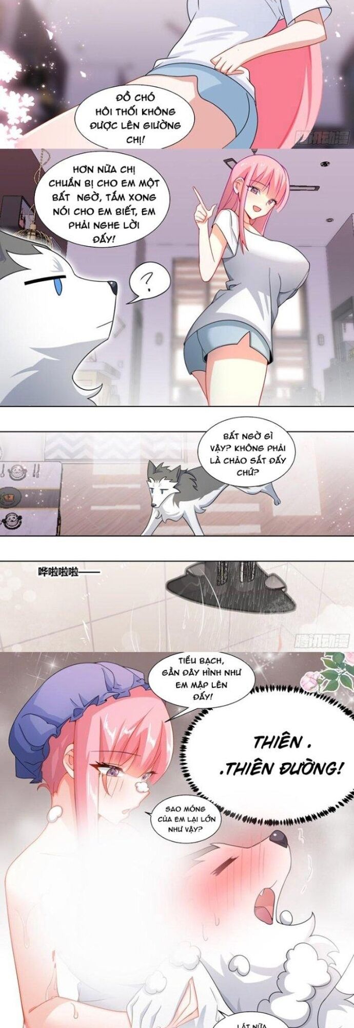 Trọng Sinh Thành Chó Của Nữ Thần [Chap 209-324] - Page 1