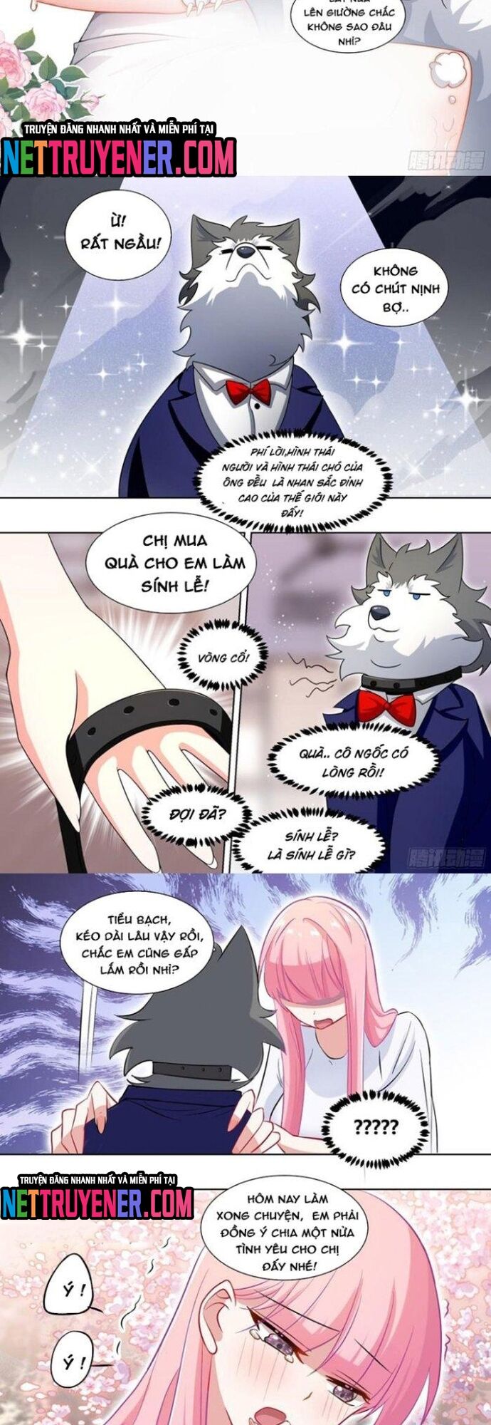 Trọng Sinh Thành Chó Của Nữ Thần [Chap 209-324] - Page 2