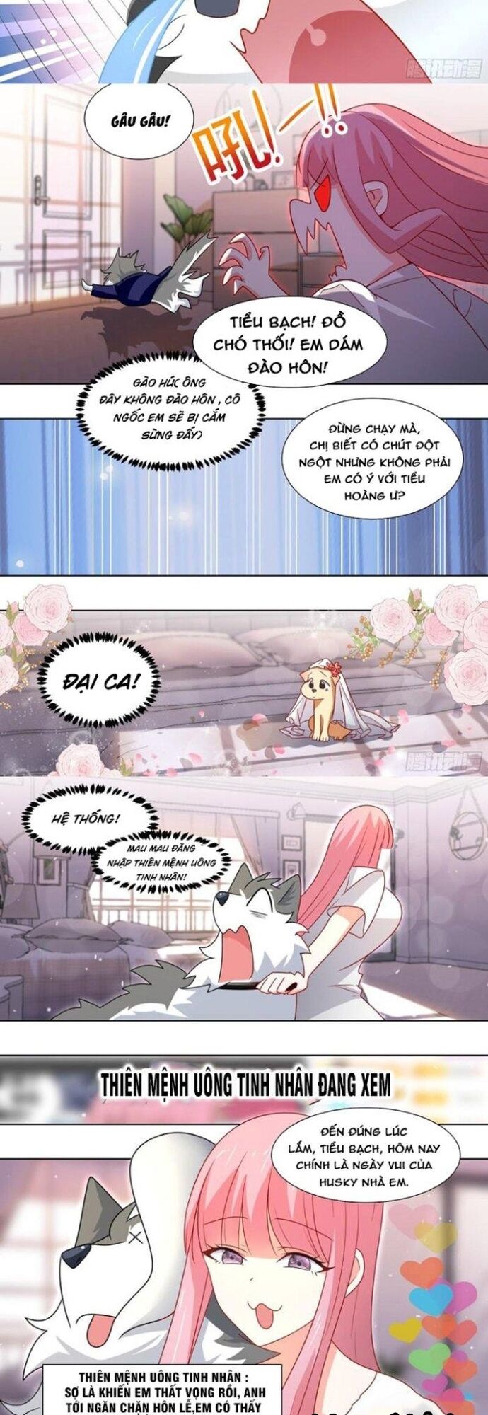 Trọng Sinh Thành Chó Của Nữ Thần [Chap 209-324] - Page 5