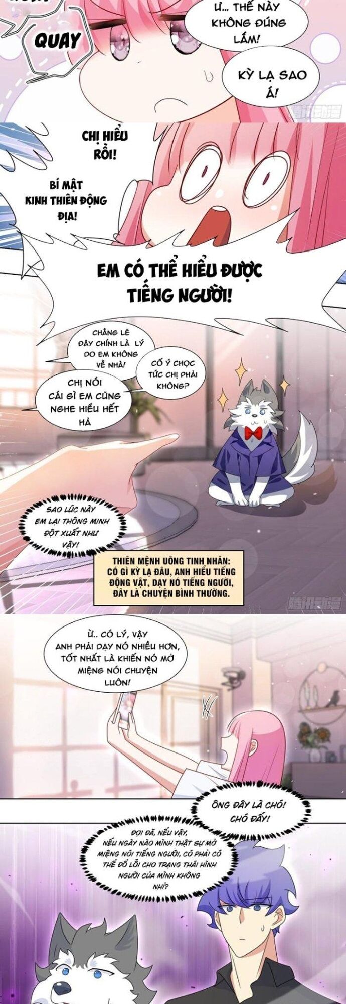 Trọng Sinh Thành Chó Của Nữ Thần [Chap 209-324] - Page 2