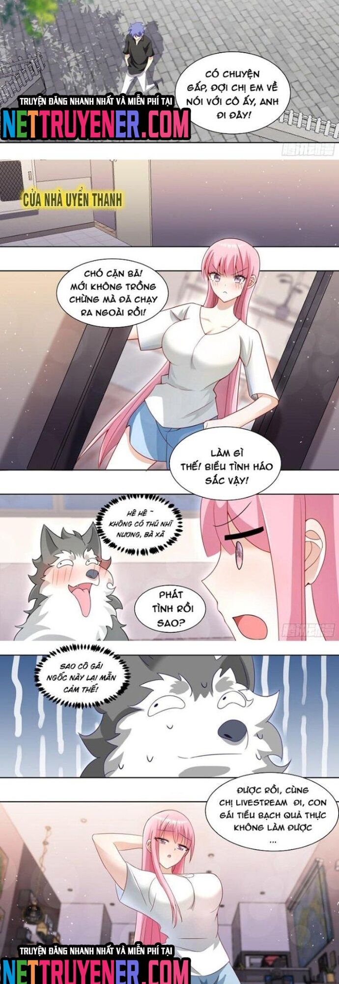 Trọng Sinh Thành Chó Của Nữ Thần [Chap 209-324] - Page 3
