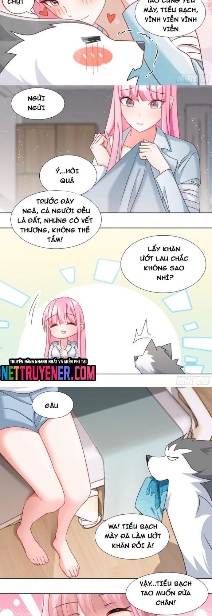 Trọng Sinh Thành Chó Của Nữ Thần [Chap 209-324] - Page 3