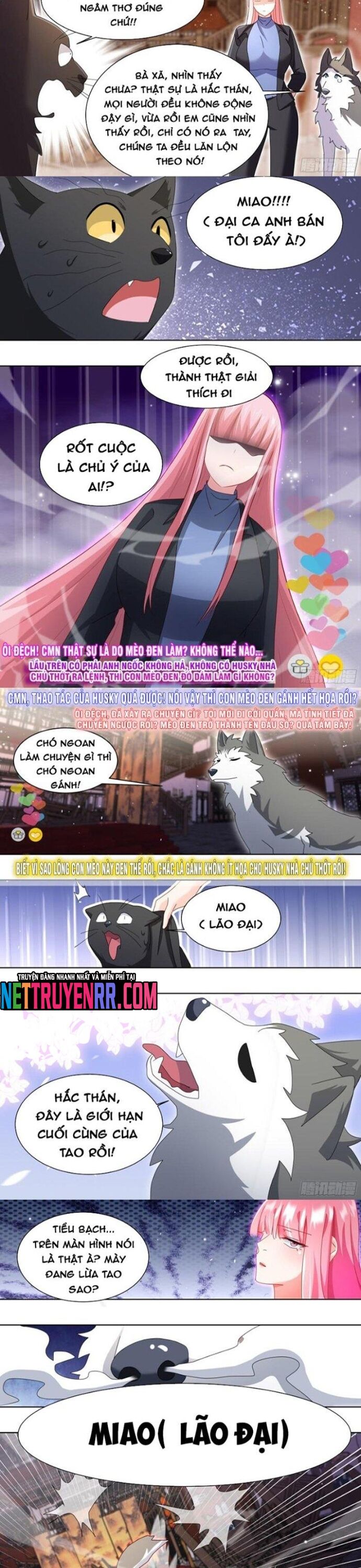 Trọng Sinh Thành Chó Của Nữ Thần [Chap 209-324] - Page 2