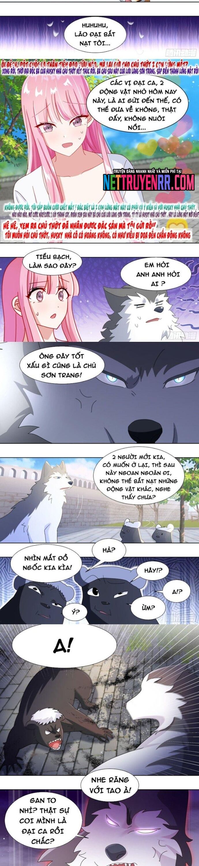 Trọng Sinh Thành Chó Của Nữ Thần Chapter 265 - TC Truyện
