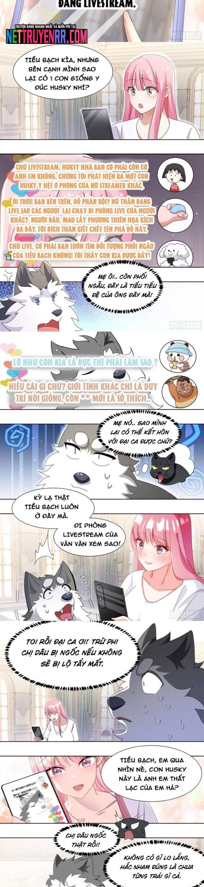 Trọng Sinh Thành Chó Của Nữ Thần Chapter 269 - TC Truyện