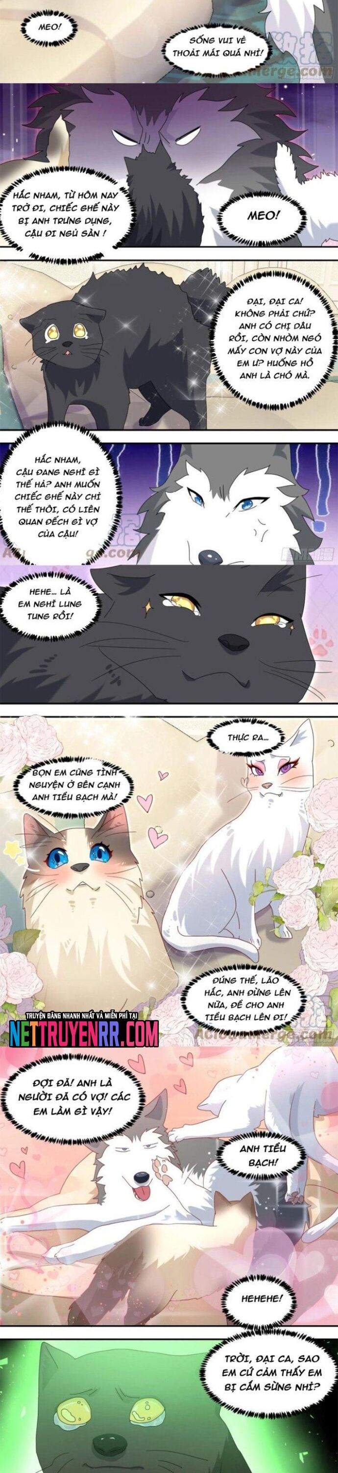 Trọng Sinh Thành Chó Của Nữ Thần Chapter 289 - TC Truyện