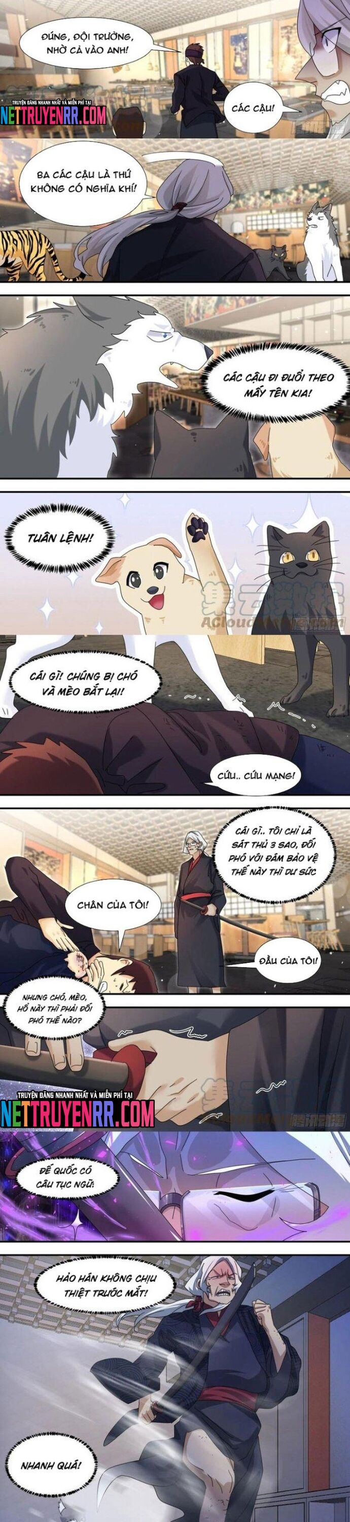 Trọng Sinh Thành Chó Của Nữ Thần Chapter 292 - TC Truyện