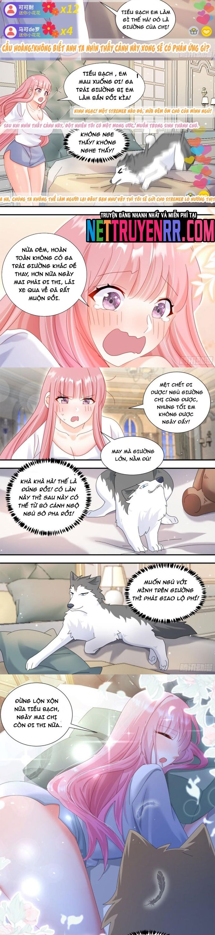 Trọng Sinh Thành Chó Của Nữ Thần Chapter 296 - TC Truyện