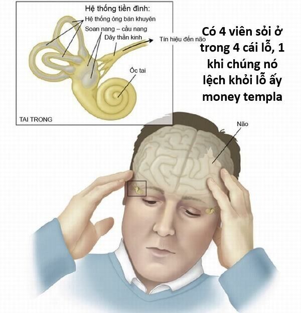 Hổ Đến Chơi Nhà [Chap 144-147] - Page 73
