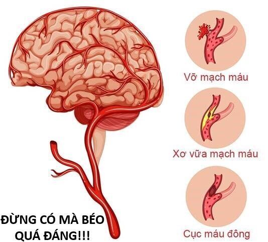 Hổ Đến Chơi Nhà [Chap 144-147] - Page 75
