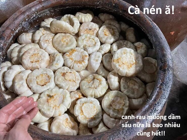Hổ Đến Chơi Nhà [Chap 144-147] - Page 40