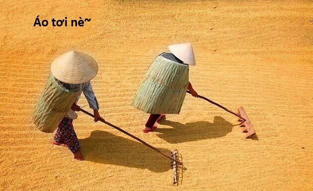 Hổ Đến Chơi Nhà [Chap 144-147] - Page 101