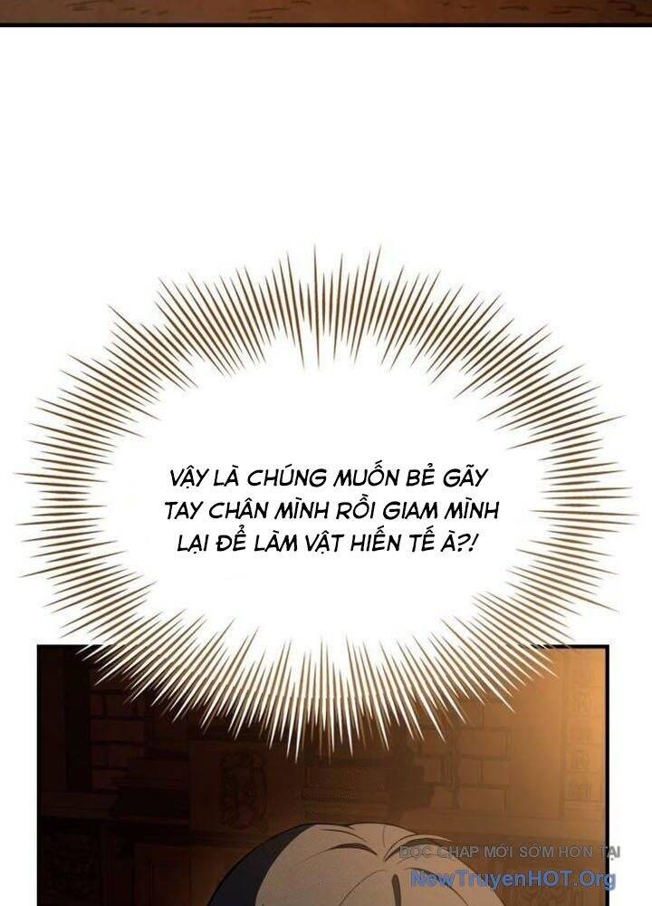 Kim Chiến Sĩ Hành Trình Xây Dựng Đặc Tính [Chap 44-48]