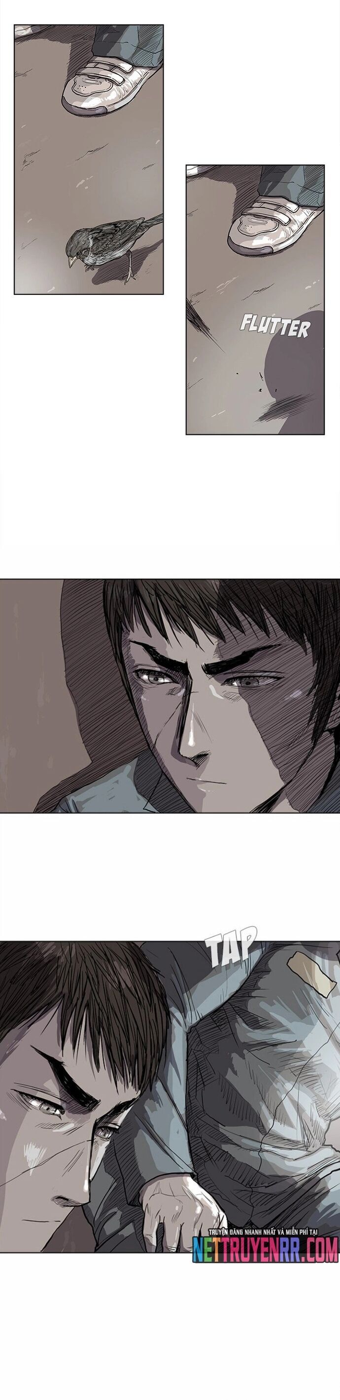 Miền Đất Xanh [Chap 11-17]