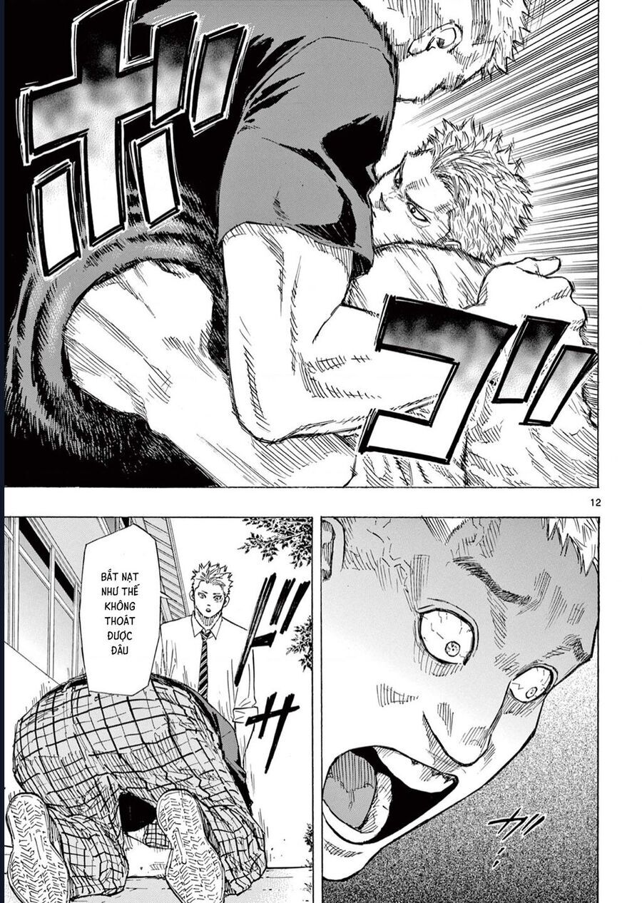 Chapter Image