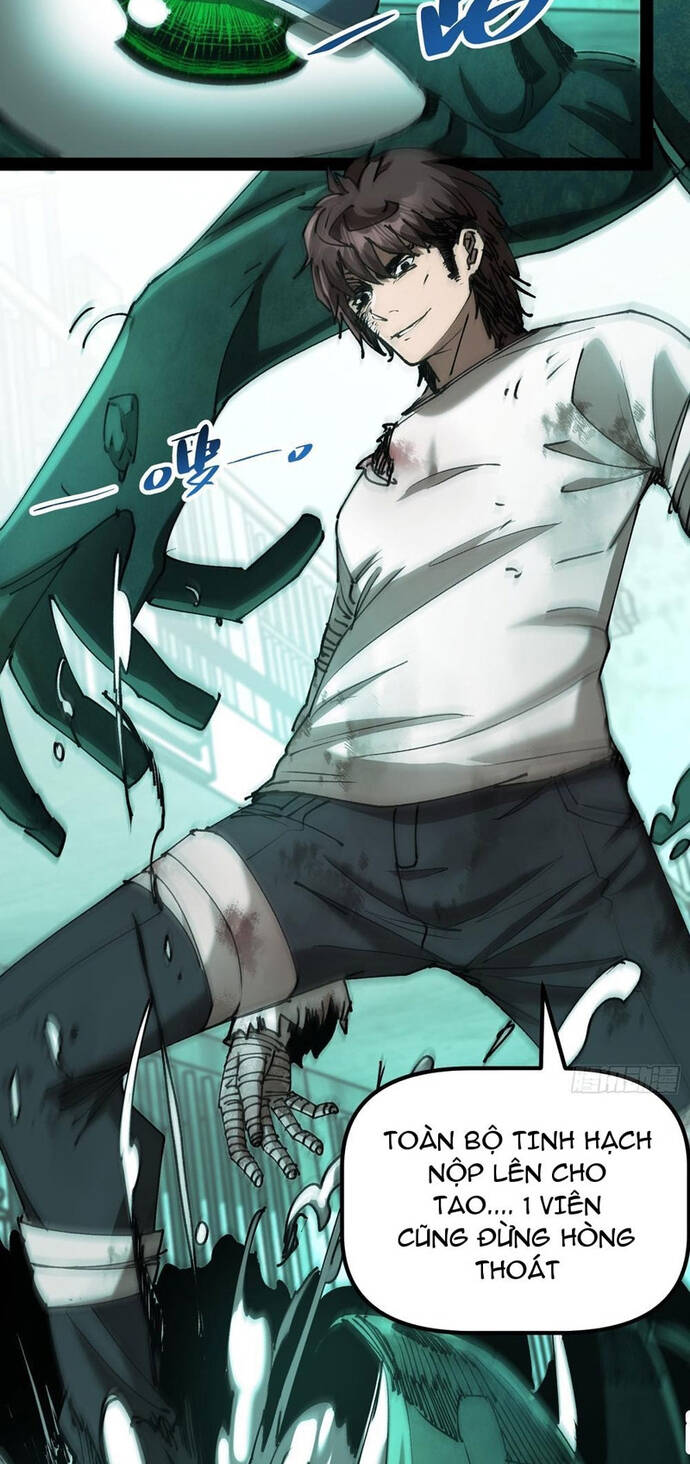 Chapter Image