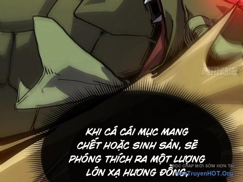 Dị Biến Giáng Lâm Nhân Gian Triệu Hoán Chi Chủ! [Chap 20-22]