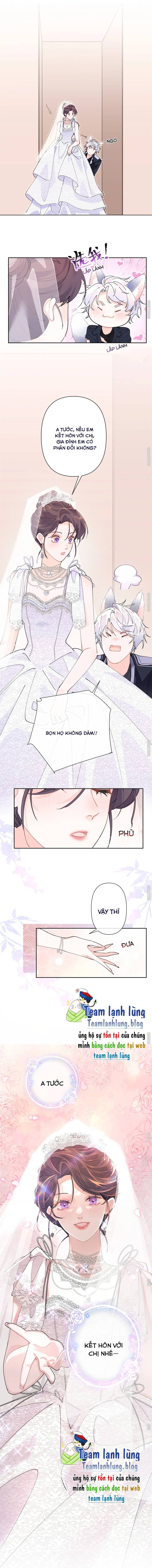 Ban Ngày Bị Hủy Hôn, Buổi Tối Bị Chỉ Huy Vừa Đáng Yêu Vừa Hung Dữ Đòi Ôm. Chapter 2 - TC Truyện