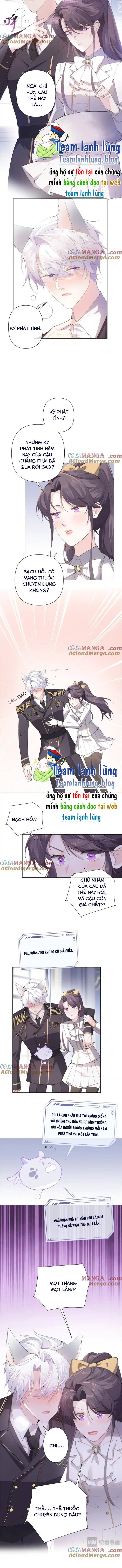 Ban Ngày Bị Hủy Hôn, Buổi Tối Bị Chỉ Huy Vừa Đáng Yêu Vừa Hung Dữ Đòi Ôm. Chapter 21 - TC Truyện
