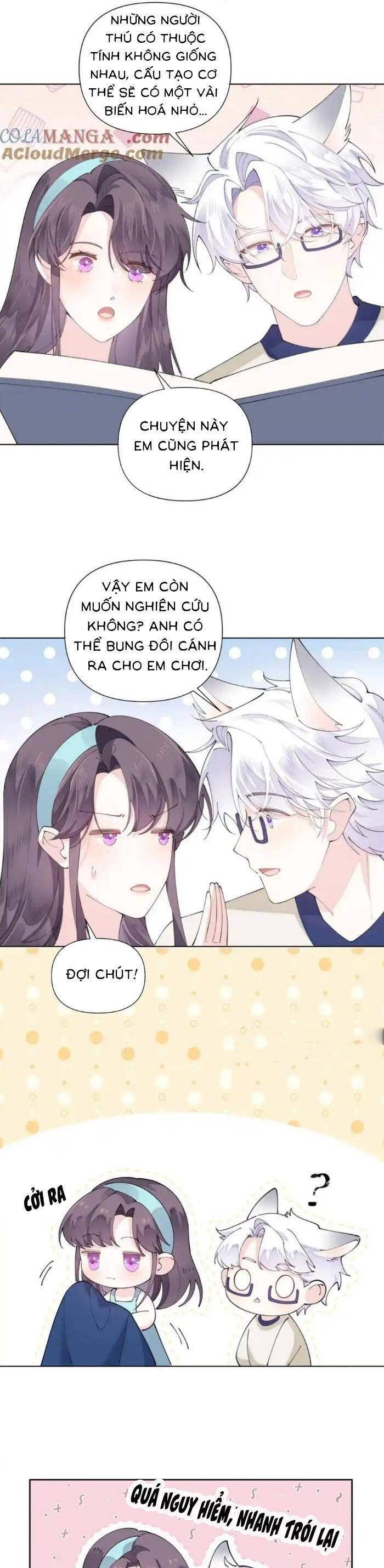 Chapter Image