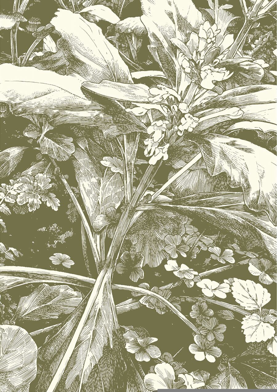 Chapter Image