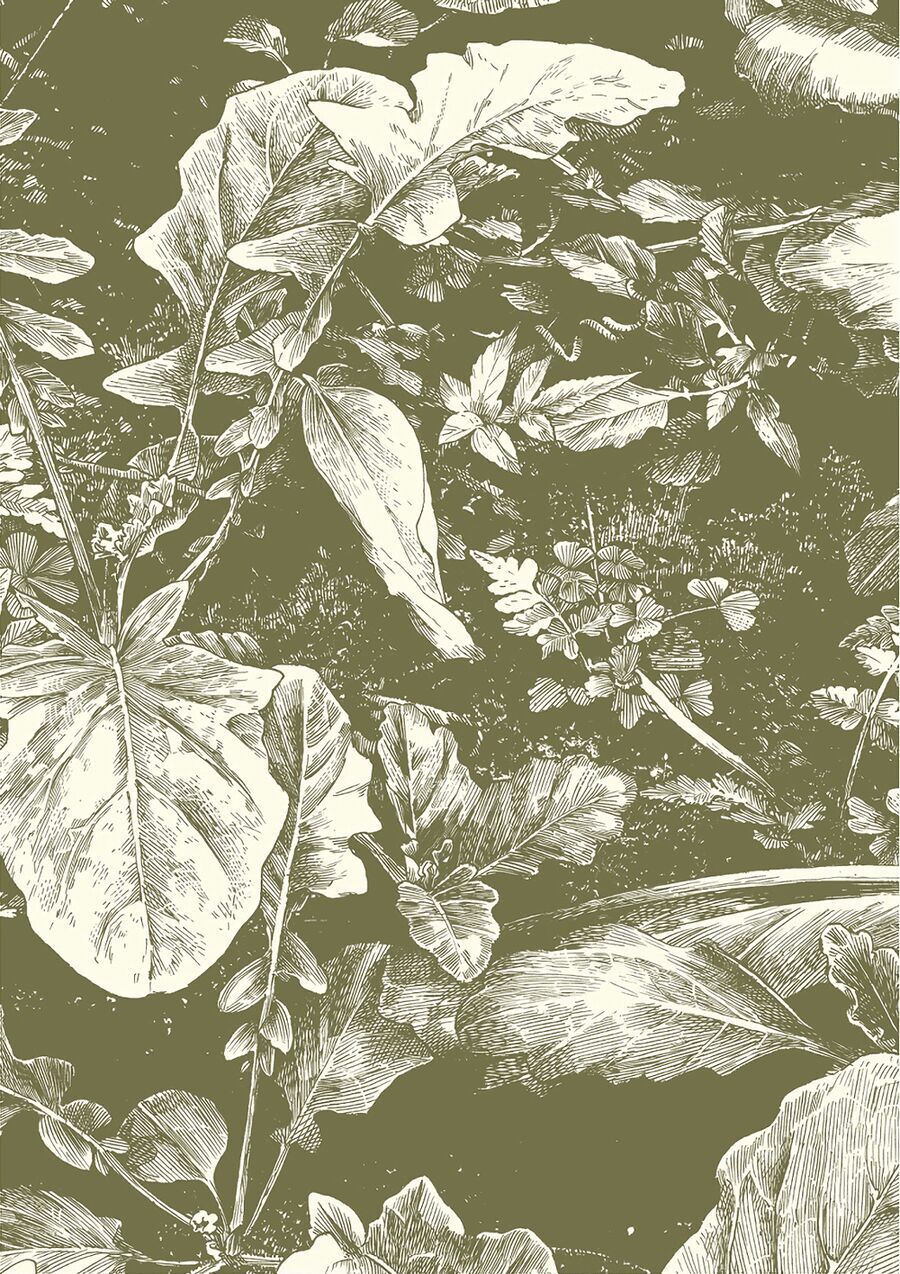 Chapter Image