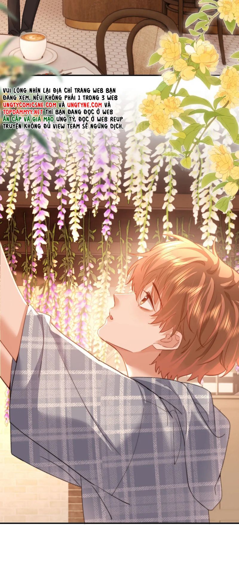 Chất Dị Ứng Đáng Yêu Chapter 104 - TC Truyện