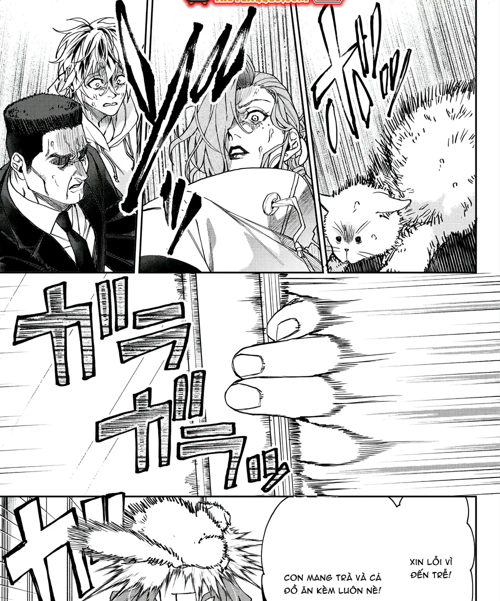 Chapter Image