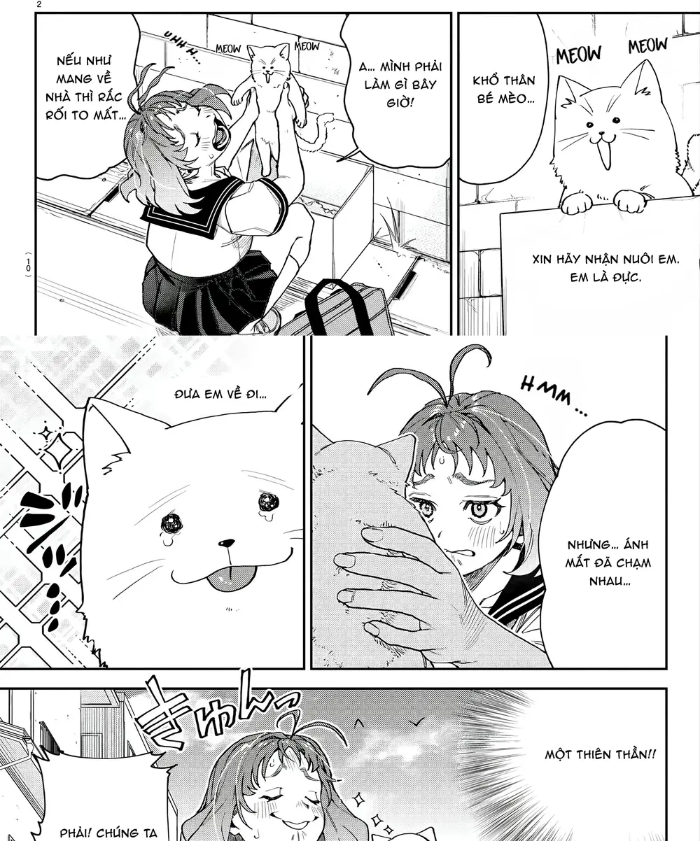 Chapter Image