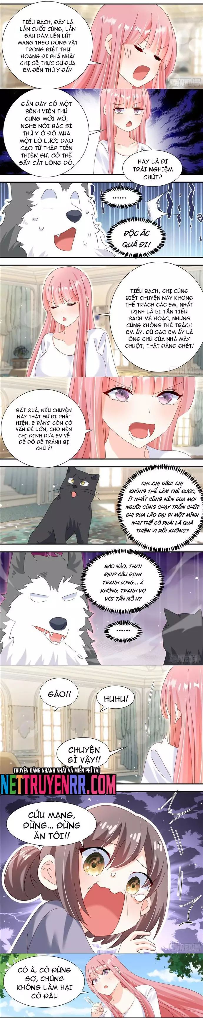 Chapter 269 - Image 3