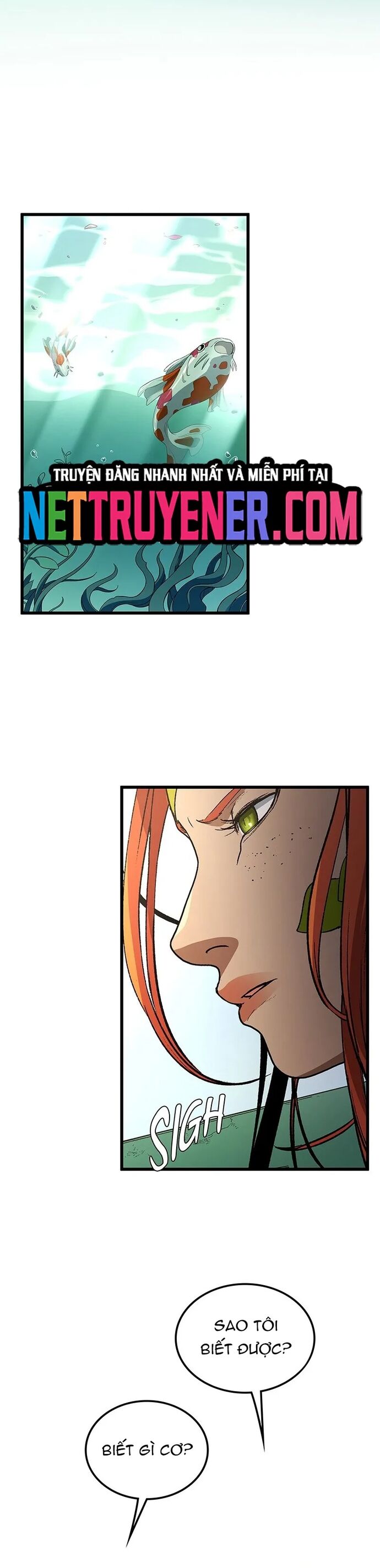 Sự Trở Lại Của Giáo Sư Runebound [Chap 33-39]