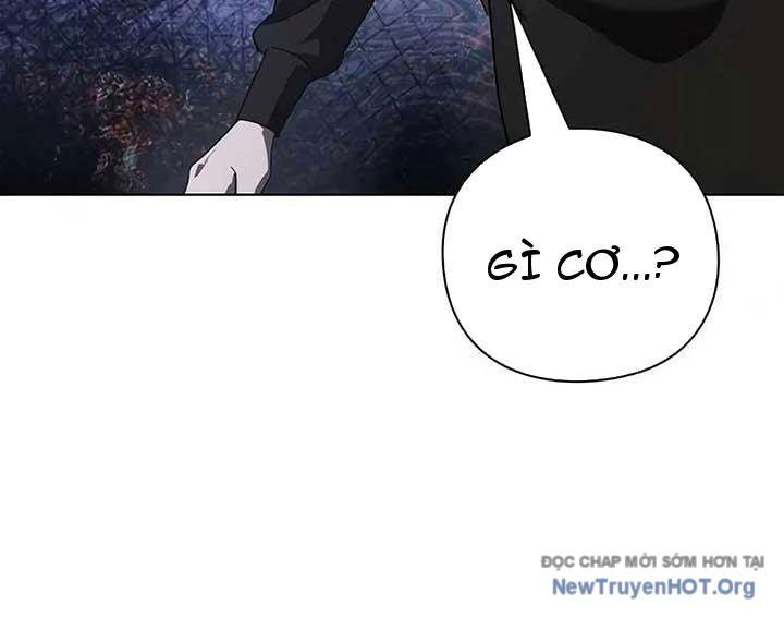 Người Giám Định Cổ Vật [Chap 42-47]