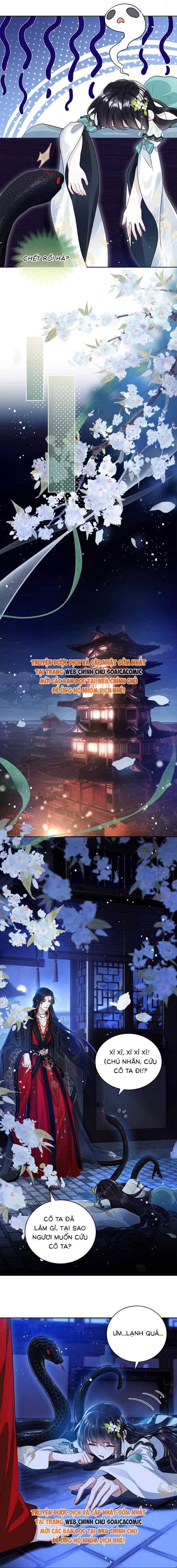 Nguyện Dâng Thân Cá Mặn Này Cho Sư Tổ [Chap 1-38]