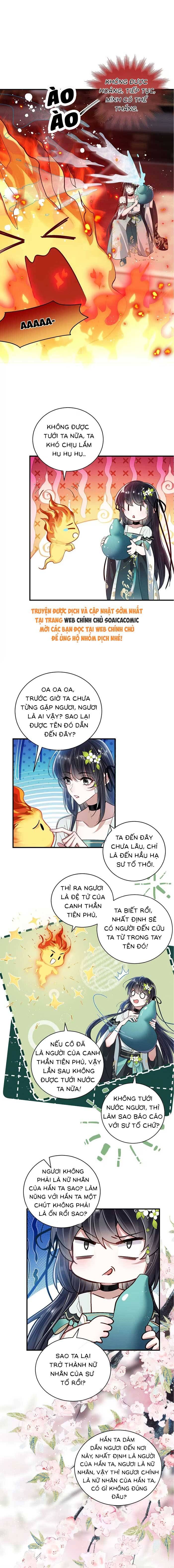 Nguyện Dâng Thân Cá Mặn Này Cho Sư Tổ [Chap 1-38]
