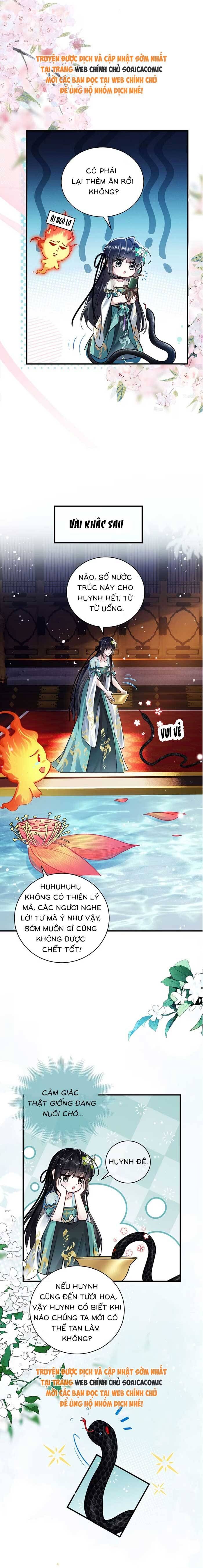 Nguyện Dâng Thân Cá Mặn Này Cho Sư Tổ [Chap 1-38]