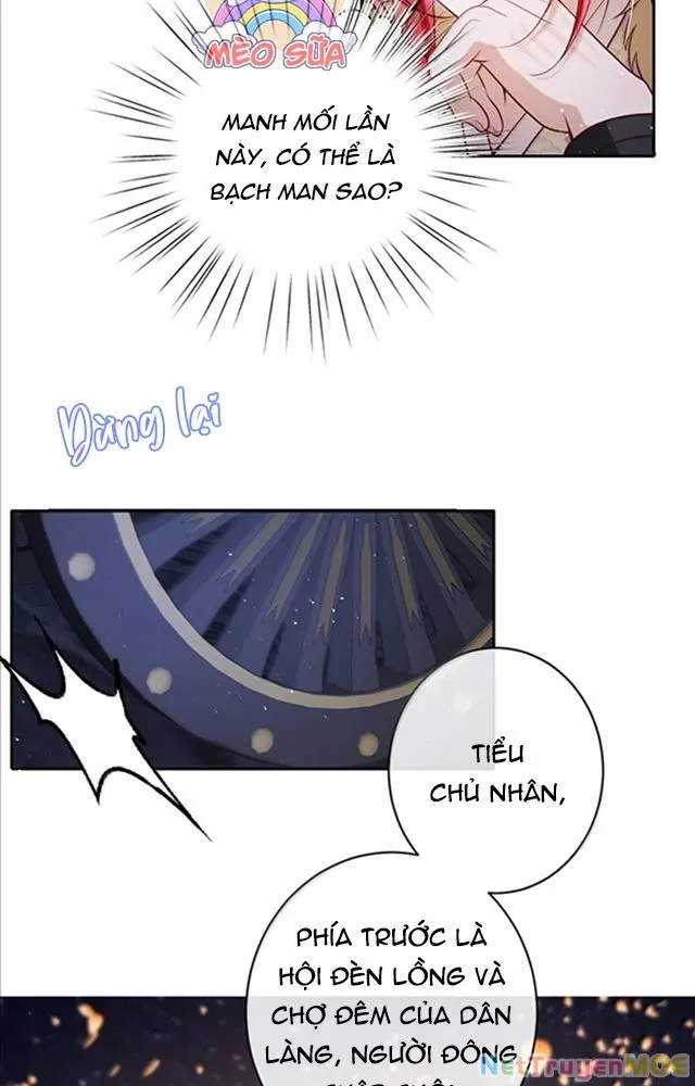 Nuông Chiều Mỹ Nhân Cuồng Nhiệt [Chap 15-60] - Page 5