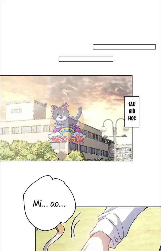 Nuông Chiều Mỹ Nhân Cuồng Nhiệt [Chap 15-60] - Page 21