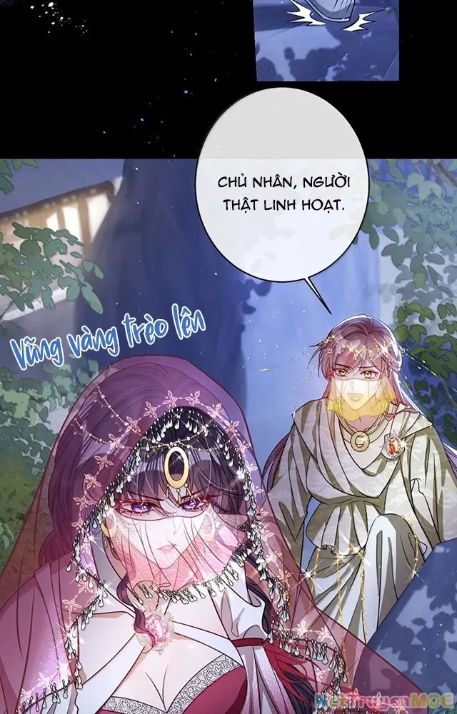 Nuông Chiều Mỹ Nhân Cuồng Nhiệt [Chap 15-60] - Page 3