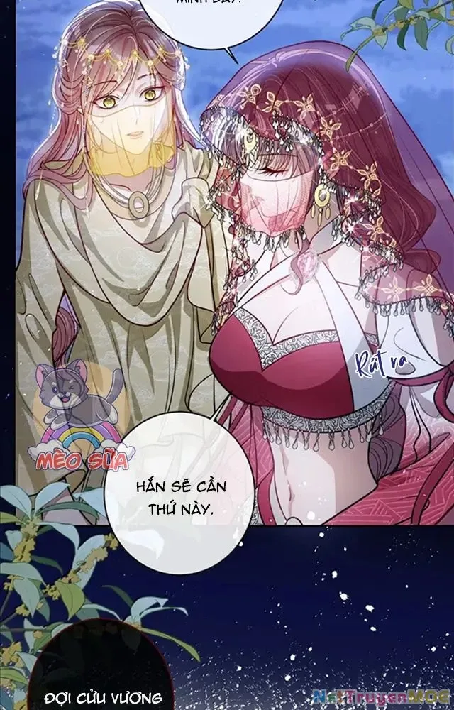 Nuông Chiều Mỹ Nhân Cuồng Nhiệt [Chap 15-60] - Page 4