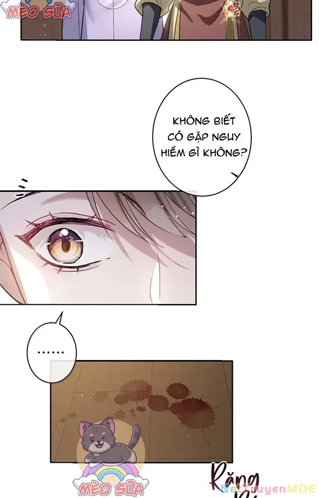 Nuông Chiều Mỹ Nhân Cuồng Nhiệt [Chap 15-60] - Page 15
