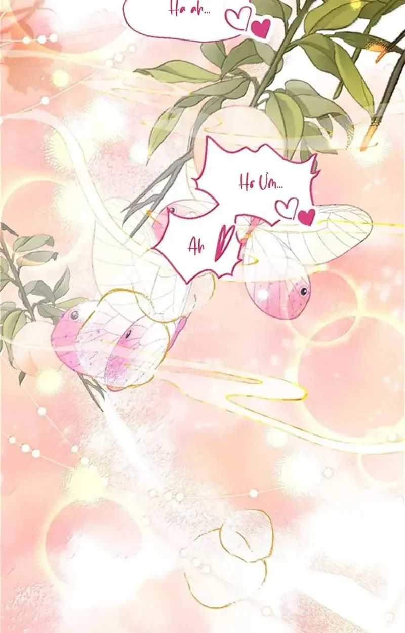 Nuông Chiều Mỹ Nhân Cuồng Nhiệt [Chap 15-60] - Page 30