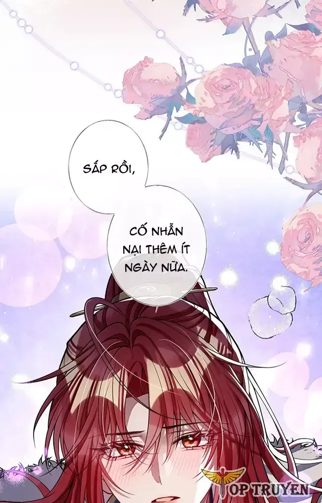 Nuông Chiều Mỹ Nhân Cuồng Nhiệt [Chap 15-60] - Page 6