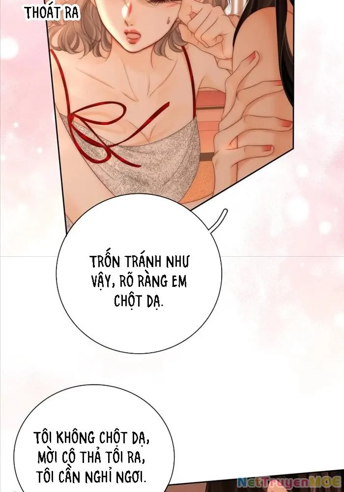 Trang truyện