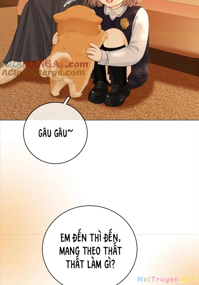 Trang truyện