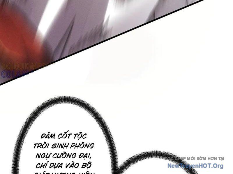 Gặp Mạnh Thì Càng Mạnh Tu Vi Của Ta Không Giới Hạn [Chap 60-66]