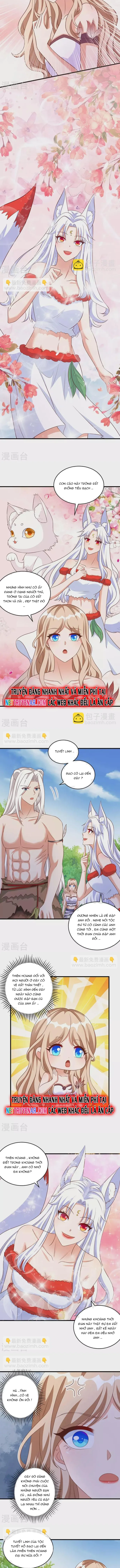 Thú Thế Cuồng Phi Bất Đương Dị Giới Nữ Hải Vương [Chap 81-107]